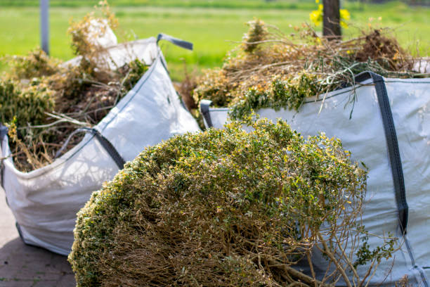 Best Electronics Removal Services  in Waterman, IL